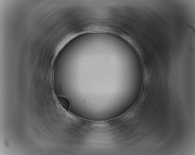 X0000103421486200809121256