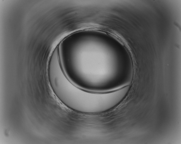 X0000103421488200809121256