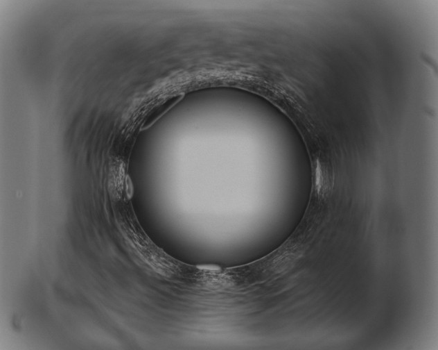 X0000103421492200809121255