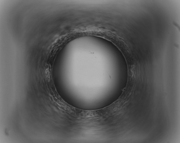 X0000103421493200809121255