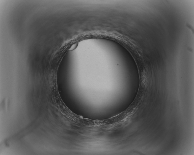 X0000103421494200809121255