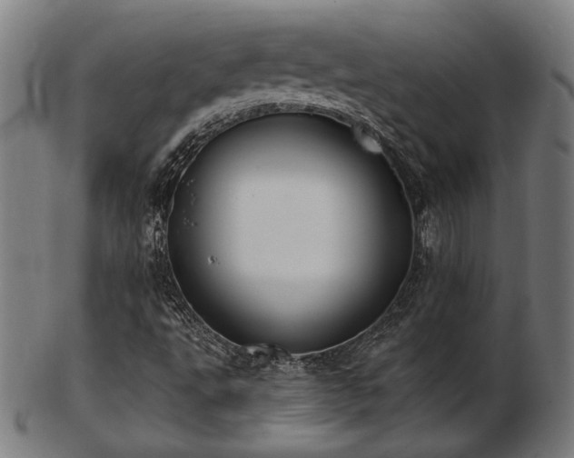 X0000103421495200809121255