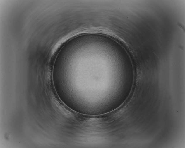 X0000103421506200809121255