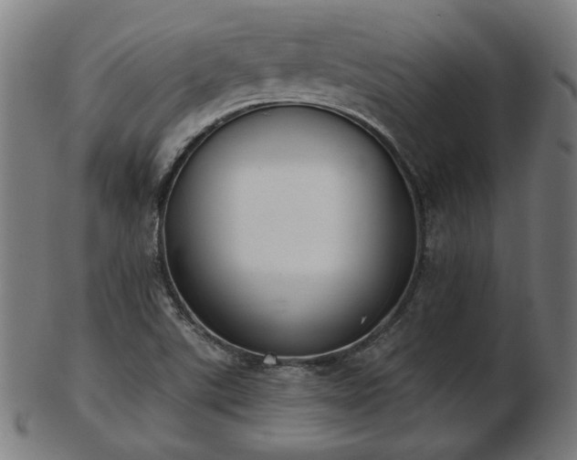 X0000103421507200809121255