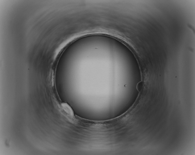 X0000103421510200809121255