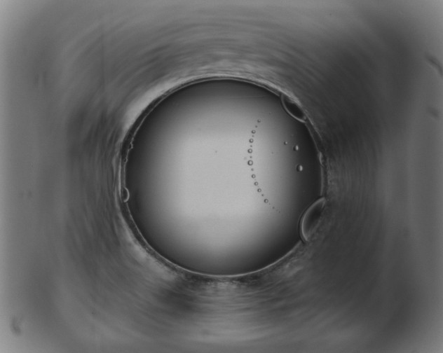 X0000103421515200809121255