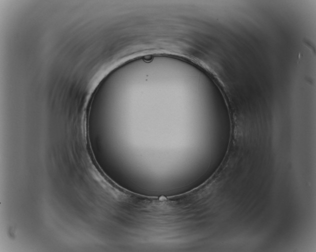 X0000103421516200809121255