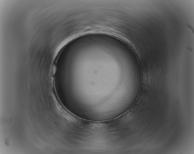 X0000103421522200809121255