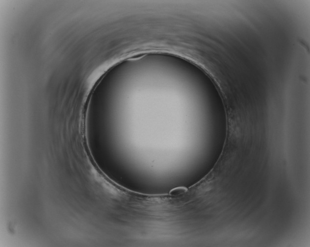 X0000103421527200809121255