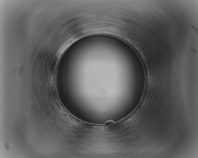 X0000103421529200809121256