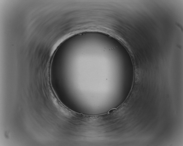 X0000103421530200809121256