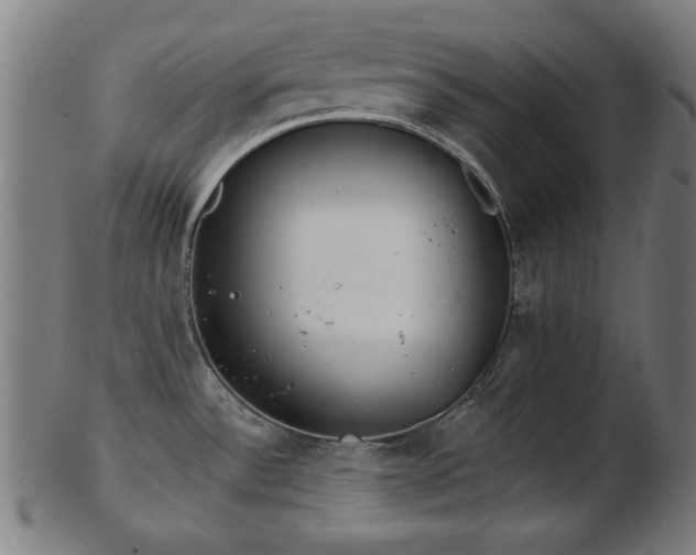 X0000103421532200809121256