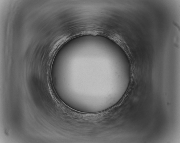 X0000103420001200809191648