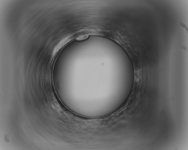 X0000103420004200809191648