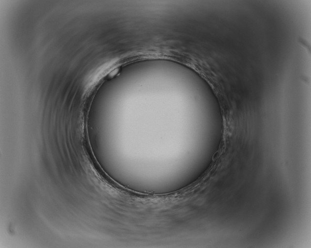 X0000103420005200809191648