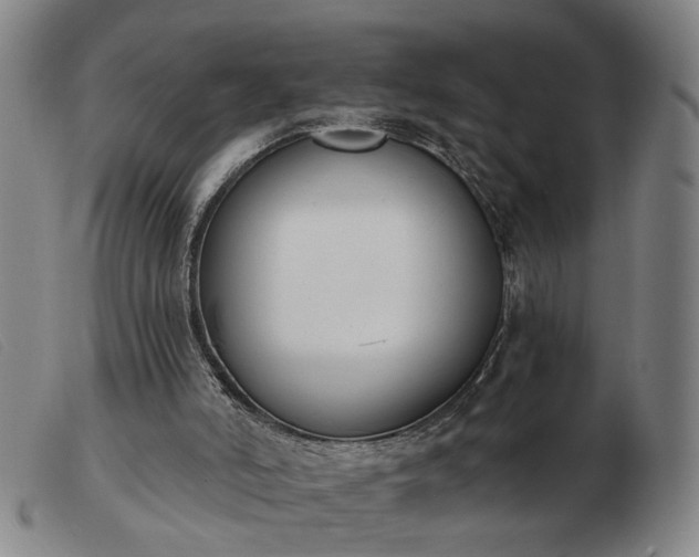 X0000103420006200809191648