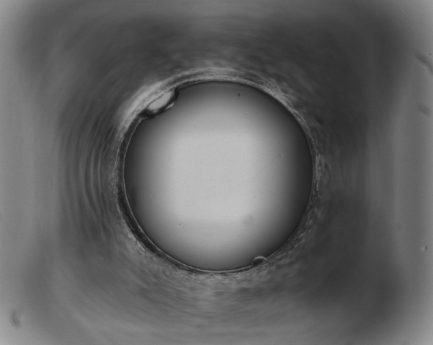 X0000103420007200809191648