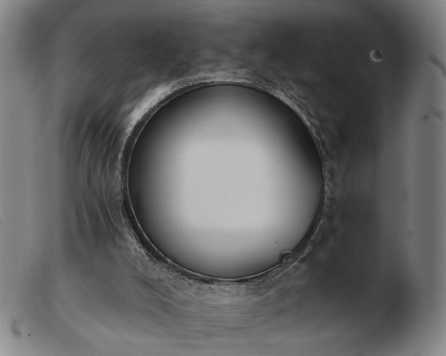 X0000103420008200809191648