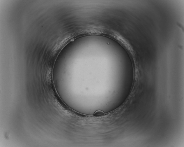 X0000103420009200809191648