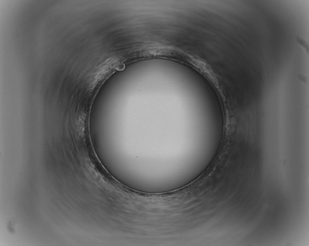 X0000103420010200809191648