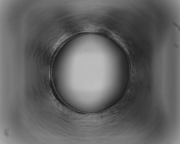 X0000103420011200809191648