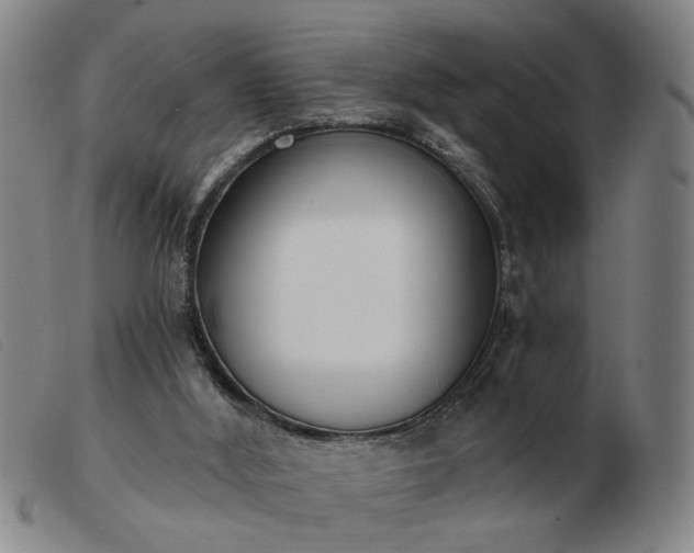 X0000103420012200809191648