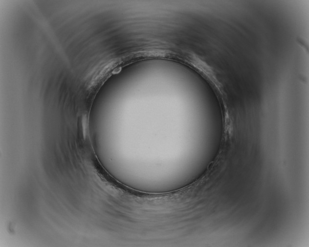 X0000103420013200809191648