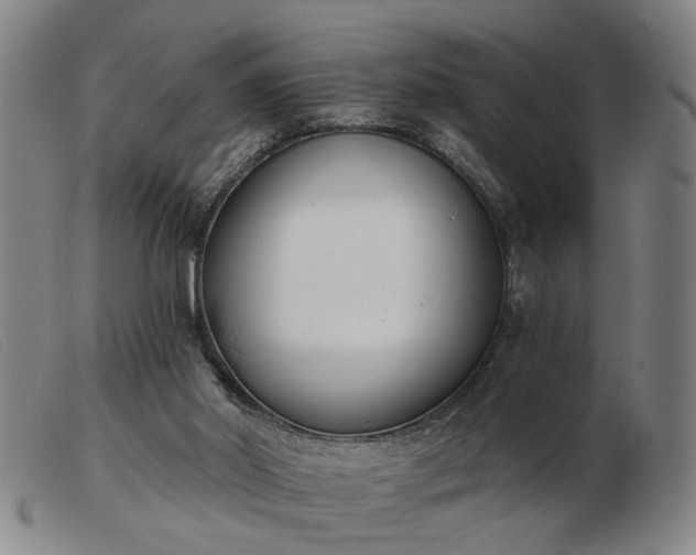 X0000103420014200809191648