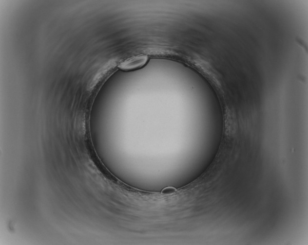 X0000103420015200809191648