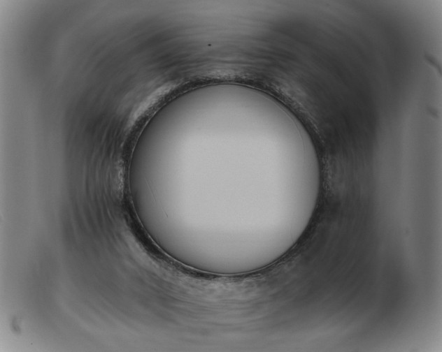 X0000103420016200809191648