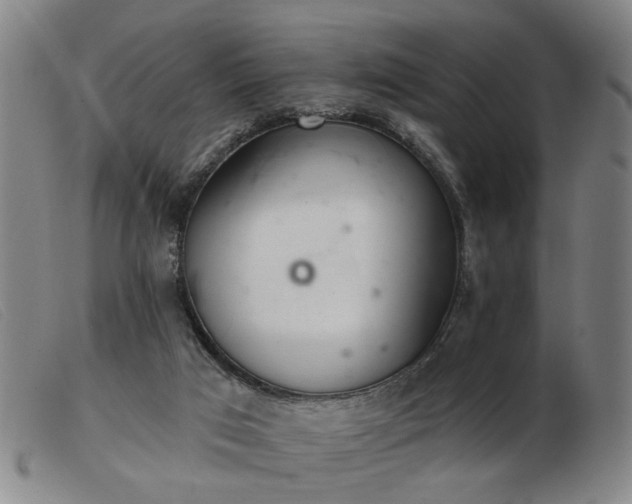X0000103420017200809191648