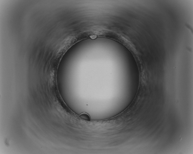 X0000103420018200809191648