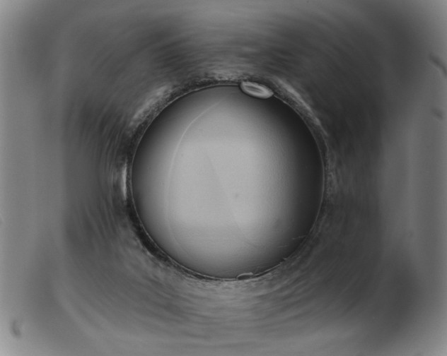 X0000103420019200809191648