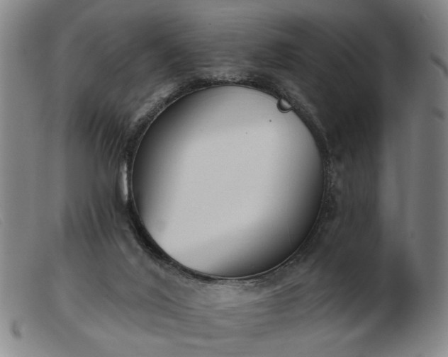 X0000103420020200809191648