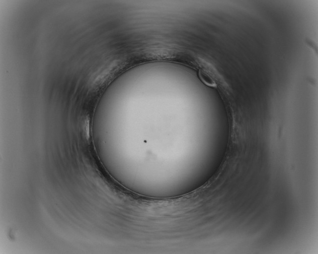 X0000103420021200809191648