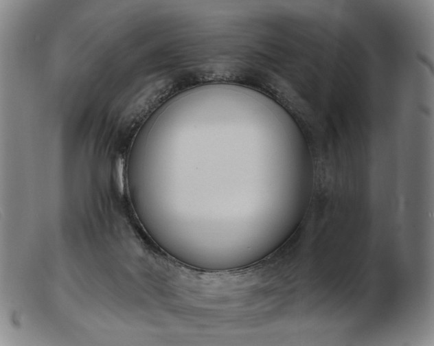 X0000103420022200809191648