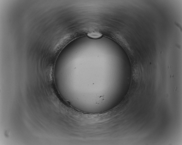 X0000103420023200809191648