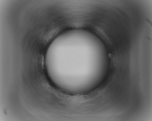 X0000103420024200809191648