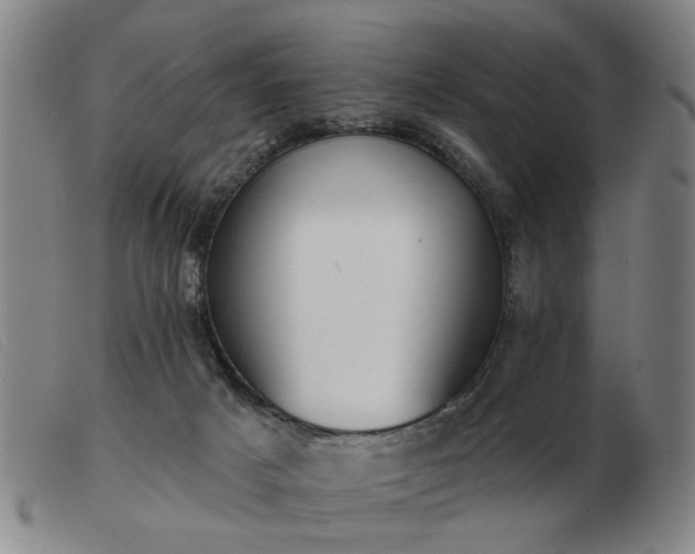 X0000103420025200809191648