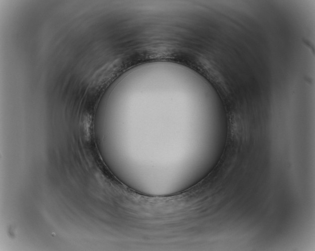 X0000103420026200809191648