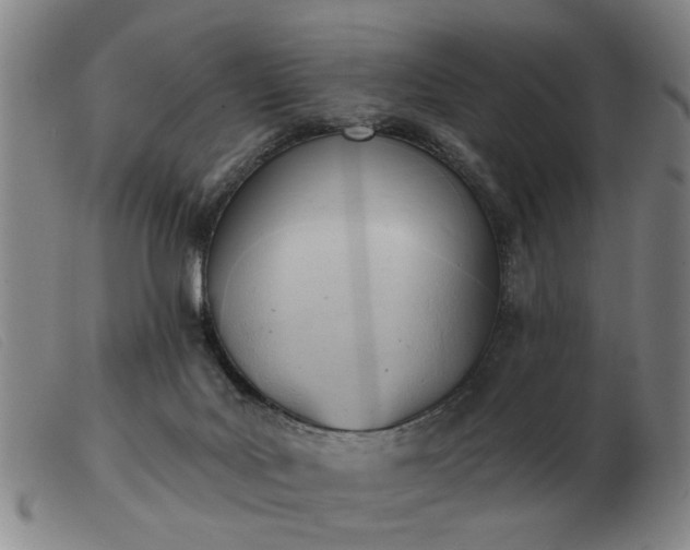X0000103420027200809191648