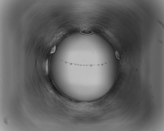 X0000103420028200809191648