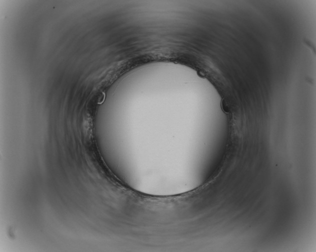 X0000103420029200809191648