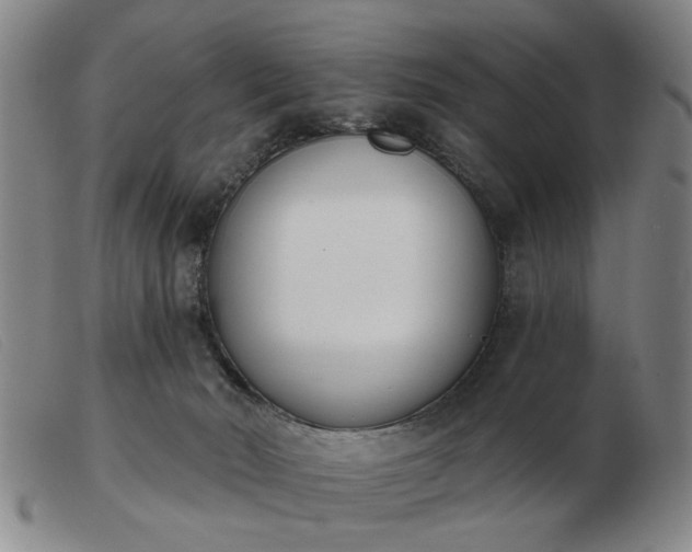 X0000103420030200809191648