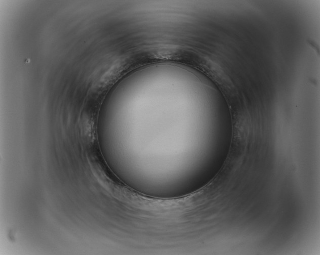 X0000103420031200809191648