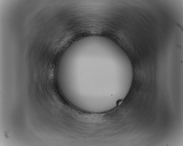 X0000103420032200809191648