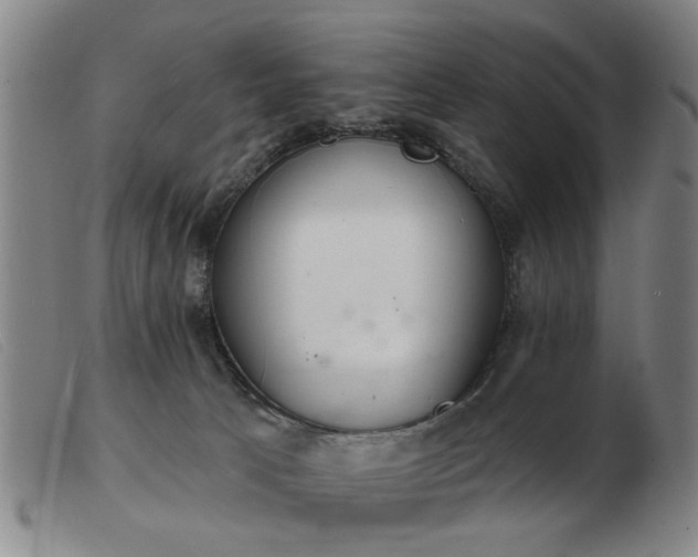 X0000103420033200809191648