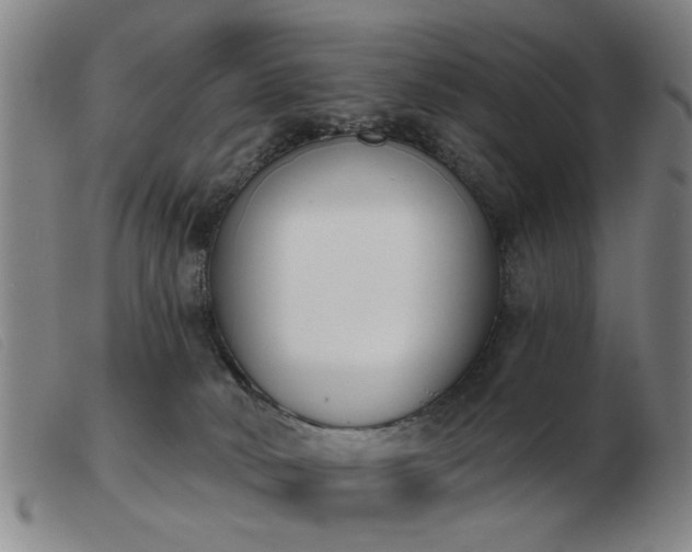 X0000103420034200809191648
