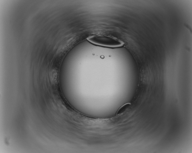 X0000103420036200809191648