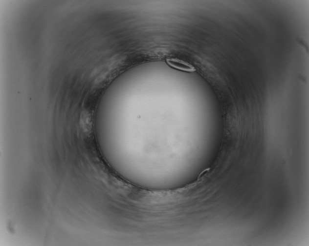 X0000103420037200809191648